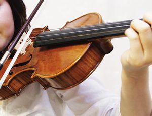 バイオリンとチェロの魅力